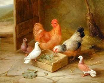 unknow artist poultry  141 oil painting image